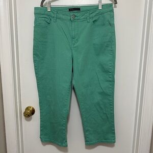 Lee Platinum Label Plus Size Women’s Jeans Light Blue Mint Green